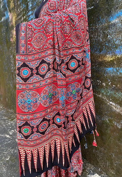 Sehaal modal silk saree