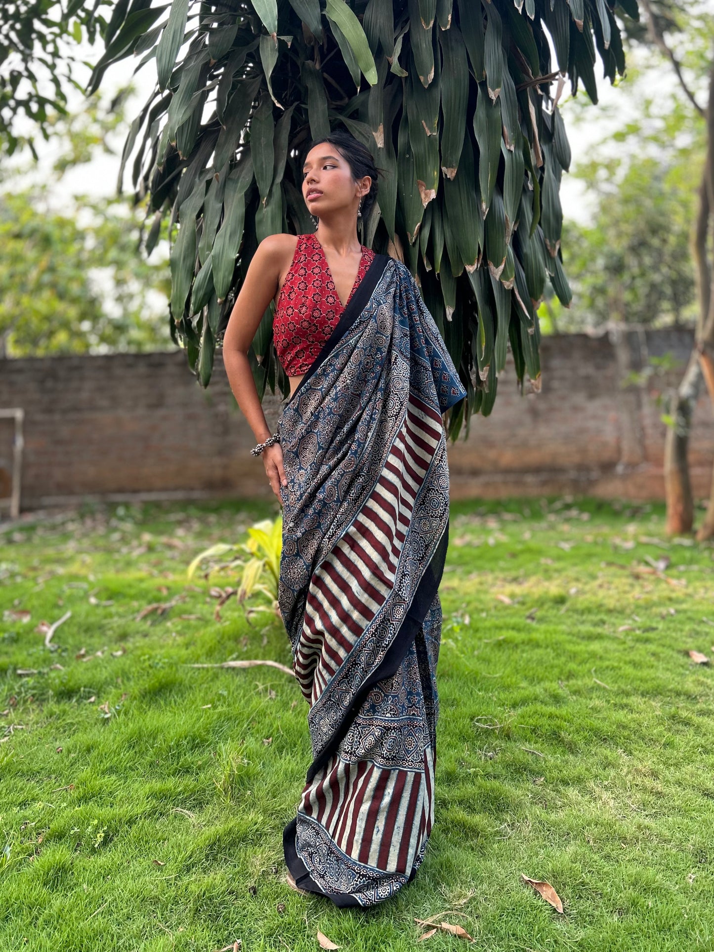 Shay Cotton Ajrakh saree
