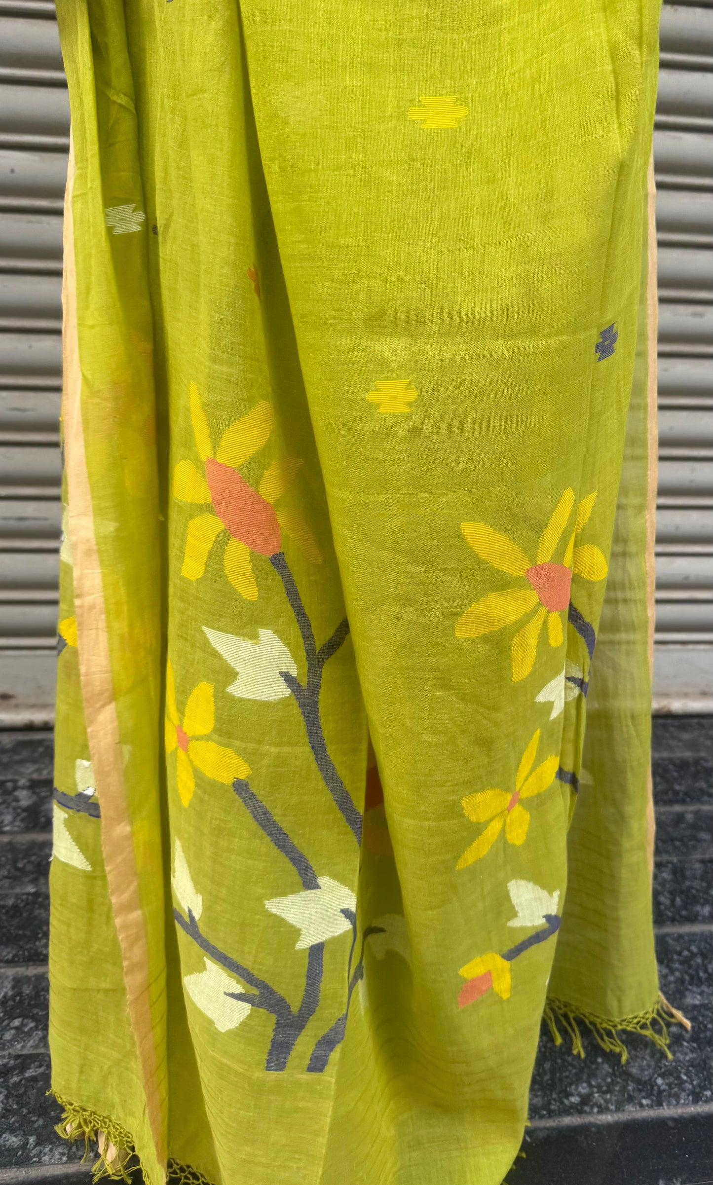 Willow Jamdani Cotton Saree